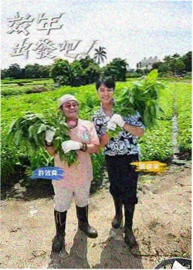 跨城通勤日志剧集索引封面，生活职场站点